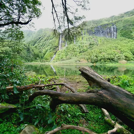 Flores Whale Watch House *