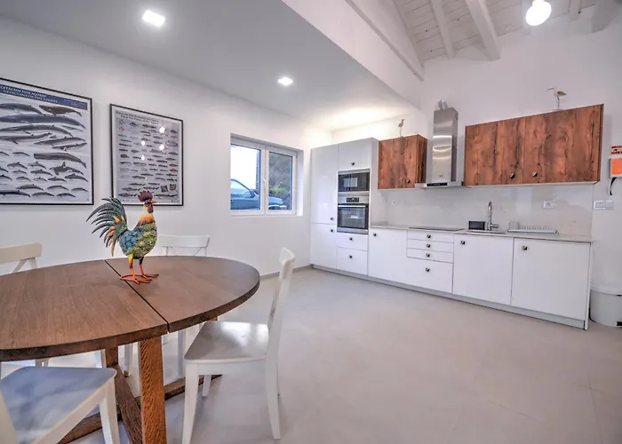 Villa Flores Whale Watch House