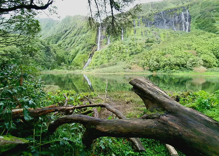 Flores Whale Watch House *